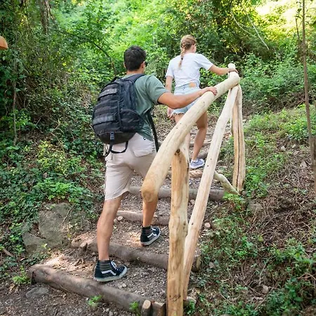 阿巴迪亚公园酒店 3* 阿巴迪拉里纳